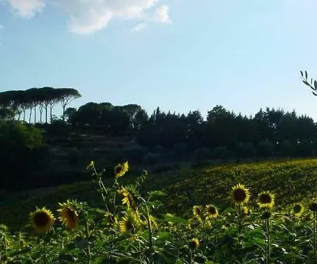 Perugia Sleeps 7 Pool Air Con Wifi Appartement Ramazzano - Le Pulci